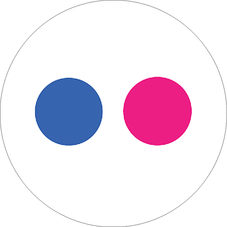 Flickr Icon